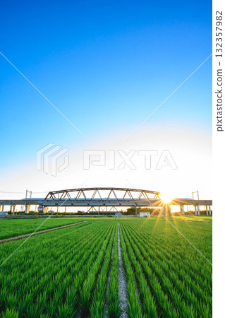 鄉村夏日夕陽 鄉村夏日夕陽 132357982