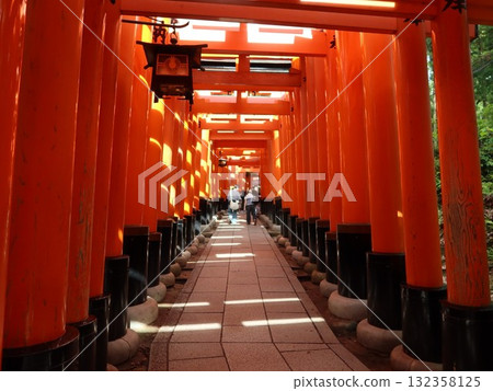 京都伏見稻荷大社神社Torii Torii 132358125