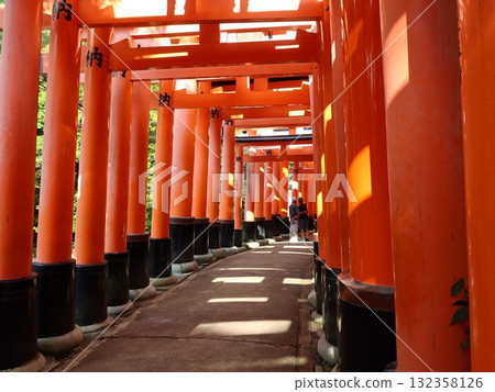 京都伏見稻荷大社神社Torii Torii 132358126