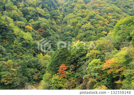 Autumn leaves of Takase Valley Autumn leaves of Takase Valley 132358148