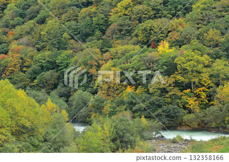 Takase Valley in autumn Takase Valley in autumn 132358166