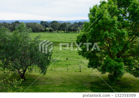 Green pastures - Yering Green pastures - Yering 132358309