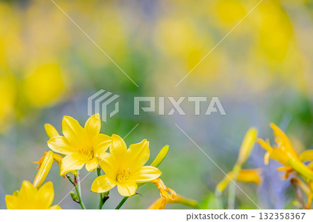 Ezokisuge Ezokisuge 132358367