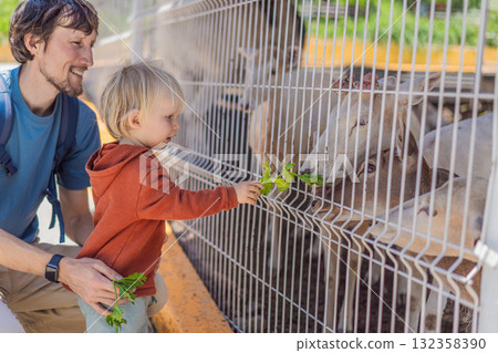 Father and his son feeding deer on a farm, enjoying family bonding, animal interaction, and outdoor activity. Wholesome childhood and learning concept Father and his son feeding deer on a farm, enjoying family bonding, animal interaction, and outdoor activity. Wholesome childhood and learning concept 132358390