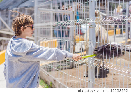 Young boy feeding a llama on a farm, enjoying animal interaction, nature, and learning responsibility. Wholesome childhood and outdoor activity concept Young boy feeding a llama on a farm, enjoying animal interaction, nature, and learning responsibility. Wholesome childhood and outdoor activity concept 132358392