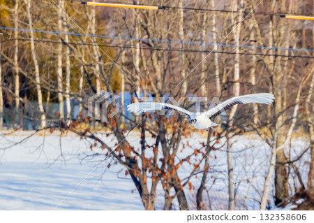 起重機的飛行 132358606