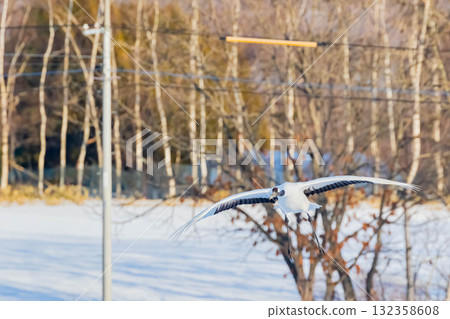 Flight of the crane Flight of the crane 132358608
