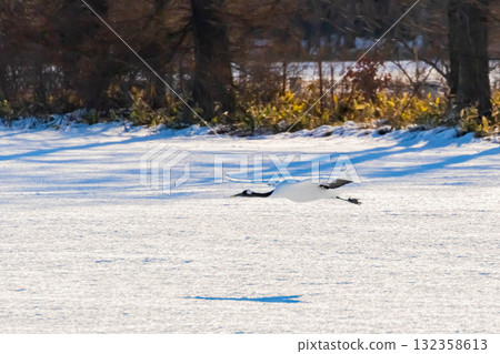Flight of the crane 132358613