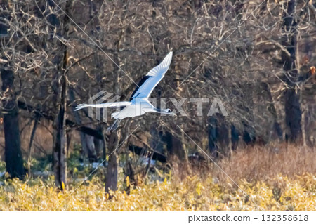 起重機的飛行 132358618