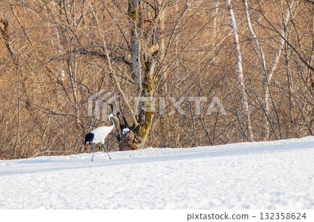 Flight of the crane Flight of the crane 132358624