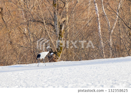 Flight of the crane 132358625