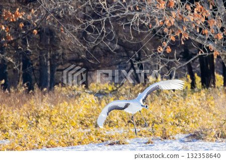 Flight of the crane 132358640