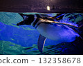 企鵝在水下游泳 132358678