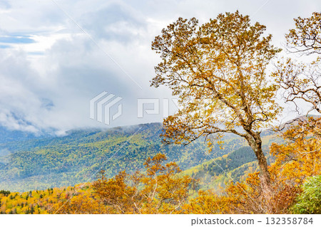 Autumn's Mt. Autumn's Mt. 132358784