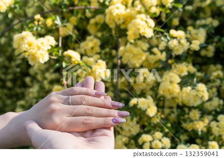 The moment when the spring sunshine touches your hand② The moment when the spring sunshine touches your hand② 132359041