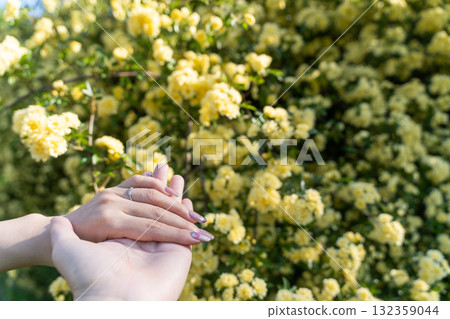 The moment when the spring sunshine touches your hand⑤ The moment when the spring sunshine touches your hand⑤ 132359044