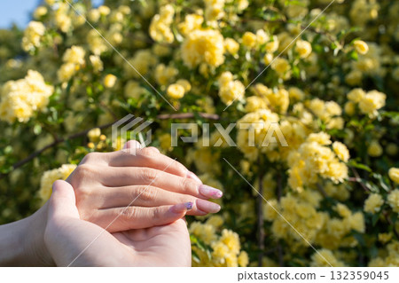 The moment when the spring sunshine and hands meet ⑥ The moment when the spring sunshine and hands meet ⑥ 132359045