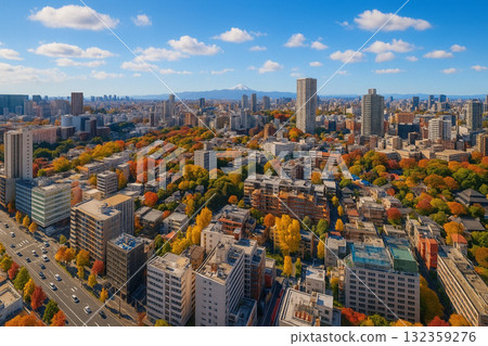 Autumn leaves overlooking the cityscape towards Mount Fuji from New Man Takanawa Autumn leaves overlooking the cityscape towards Mount Fuji from New Man Takanawa 132359276