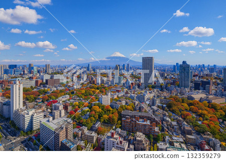 Autumn leaves overlooking the cityscape towards Mount Fuji from New Man Takanawa Autumn leaves overlooking the cityscape towards Mount Fuji from New Man Takanawa 132359279