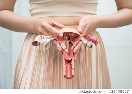Uterus, Asian woman holding human anatomy model. Uterus, Asian woman holding human anatomy model. 132359907
