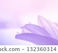 Water droplets on petals 132360314