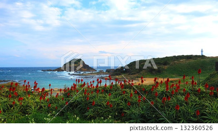 美麗的大海和燈塔 132360526