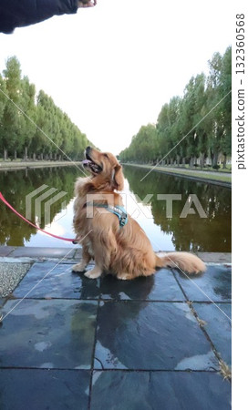 Maeda Forest Park Canal Maeda Forest Park Canal 132360568