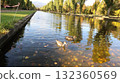 Maeda Forest Park Canal 132360569