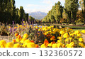 Maeda Forest Park Canal 132360572
