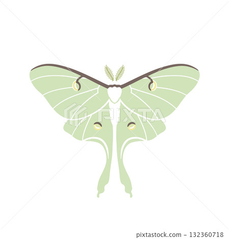 Insect Vector Icon Insect Vector Icon 132360718