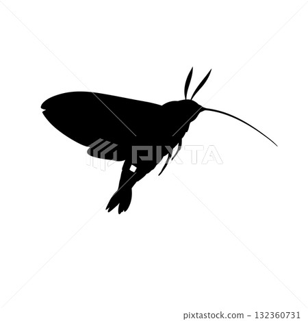 Insect Vector Icon Insect Vector Icon 132360731
