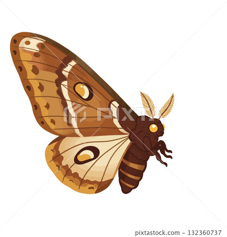 Insect Vector Icon Insect Vector Icon 132360737