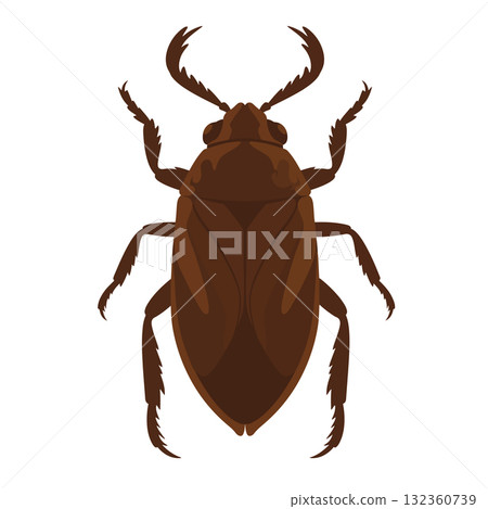 Insect Vector Icon Insect Vector Icon 132360739