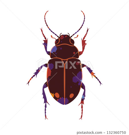 Insect Vector Icon 132360750