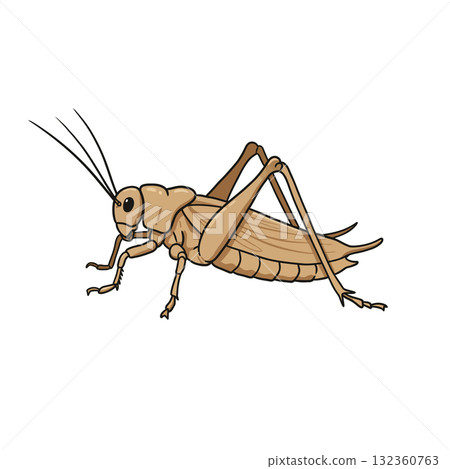 Insect Vector Icon 132360763