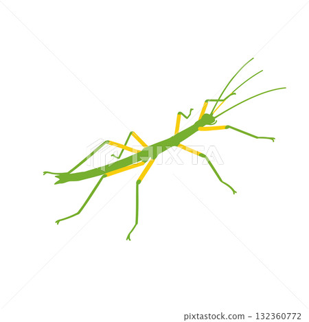 Insect Vector Icon Insect Vector Icon 132360772