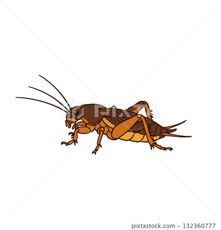 Insect Vector Icon 132360777