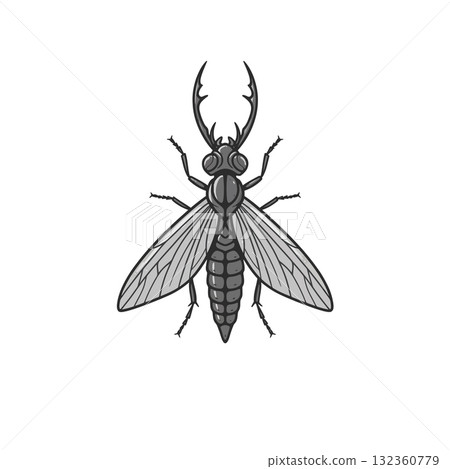 Insect Vector Icon 132360779