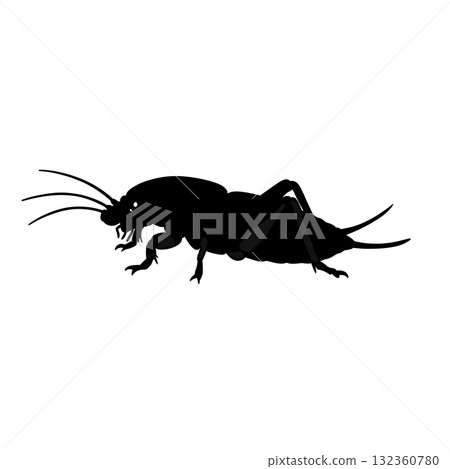 Insect Vector Icon 132360780