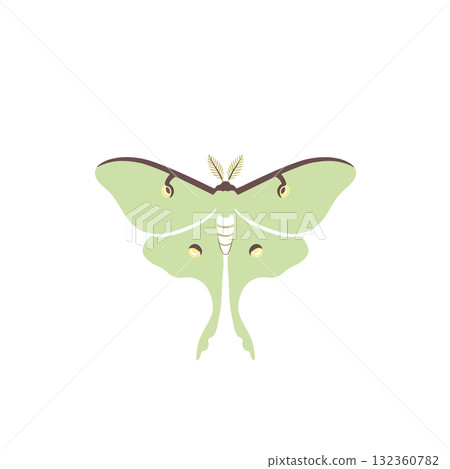 Insect Vector Icon 132360782