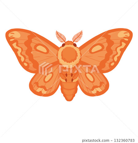 Insect Vector Icon 132360783