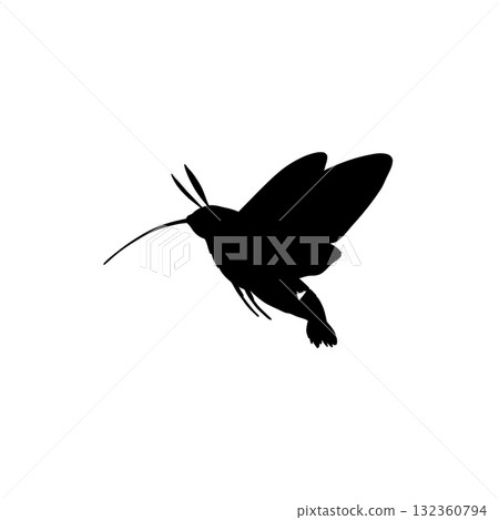 Insect Vector Icon 132360794