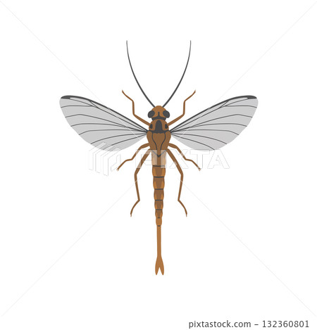 Insect Vector Icon 132360801