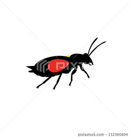 Insect Vector Icon 132360804