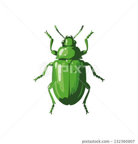 Insect Vector Icon 132360807