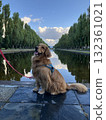 Maeda Forest Park Canal 132361021