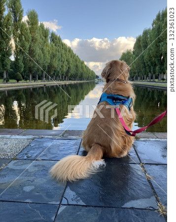 Maeda Forest Park Canal Maeda Forest Park Canal 132361023