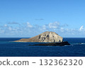 Rabbit Island (Manana Island) 132362320