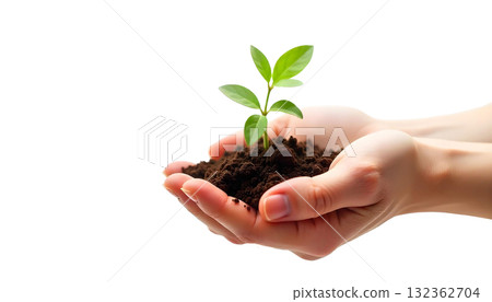 Hands nurturing a young plant with soil, set against a transparent background, representing sustainable agriculture and ecology 132362704