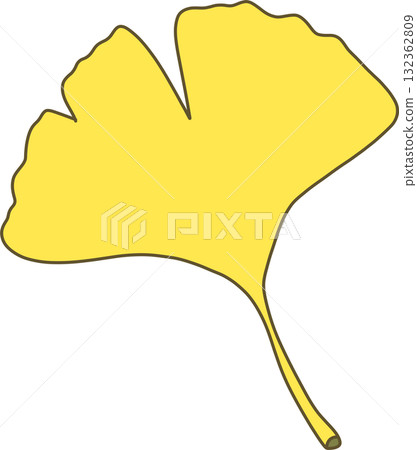 Autumn Ginkgo Tree Leaf Illustration 132362809